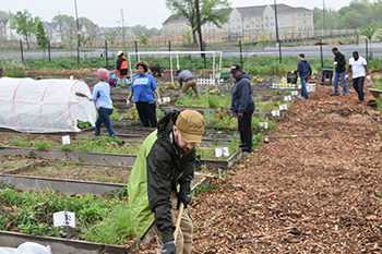 Urban farm