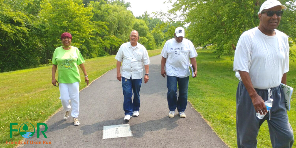  Four people stroll along a paved path surrounded by lush green trees.