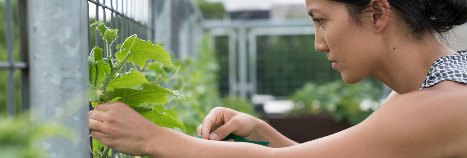 Student in Garden