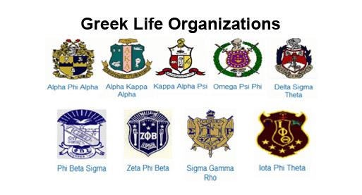 greek life organizations