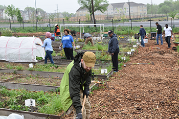 Urban agriculture, agroecology, school and community gardens